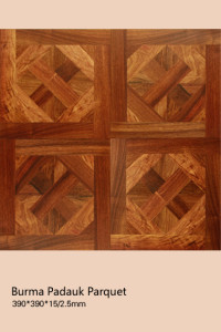 wood parquet 1 (3)
