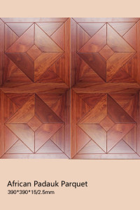 wood parquet 1 (9)